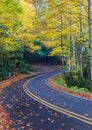 Wet road winds through yellow autumn trees