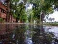 Wet road through the wooden trees, rainy season