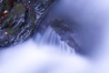 Wet rock in autumn Royalty Free Stock Photo