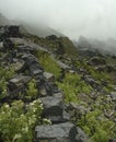 Wet rocks Royalty Free Stock Photo