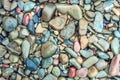 Wet Rocks on Beach Royalty Free Stock Photo