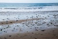 Wet rocky beach sand with many small rocks. Blue ocean with small waves and horizon in the background. Royalty Free Stock Photo