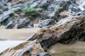 Wet rokcs and sand on low tide Royalty Free Stock Photo