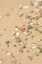 Wet sand with algae on the shore and pebbles in the sand,close-up Royalty Free Stock Photo