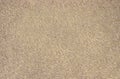 Wet sand background Royalty Free Stock Photo