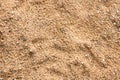 Wet sand on the beach, background or texture Royalty Free Stock Photo