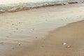 Wet sand on the beach, blurred sea in background - low angle shallow depth of field photo - only one small white seashell in focus Royalty Free Stock Photo