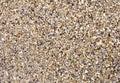 Wet sand with crushed sea shells Royalty Free Stock Photo
