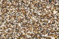 wet sand, grains of sand close-up, uniform texture background Royalty Free Stock Photo