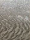 Wet Sand Patterns Royalty Free Stock Photo