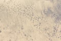 Wet sand patterns Royalty Free Stock Photo