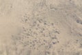 Wet sand patterns Royalty Free Stock Photo