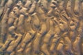 Wet sand ripples Royalty Free Stock Photo