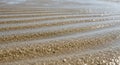 Wet Sand Ripples Glistening in Sunlight Royalty Free Stock Photo