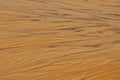 Wet sand texture Royalty Free Stock Photo