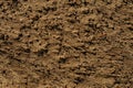 Wet sand texture for the background image Royalty Free Stock Photo