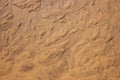 Wet sand texture. Beige sand macro. Dune background close up. Terrain pattern. Royalty Free Stock Photo