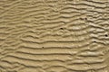 Wet sand texture Royalty Free Stock Photo