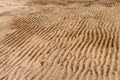 Wet sand with traces of water. The texture of the sandy surface after the rain. Close-up Royalty Free Stock Photo