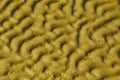 Wet sand wave pattern Royalty Free Stock Photo