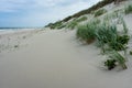 Wet sea sand, deserted sea beach, seashore after rain Royalty Free Stock Photo