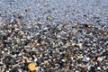 Wet seashells and small stones in sea water Royalty Free Stock Photo