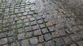 A wet sidewalk creates a shiny backdrop. Beautiful gray stone background. Stone road, paving stones in the old town during the