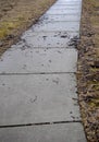 Sidewalk after the Rain