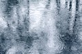 Wet sidewalk with raindrops and trees reflection in a puddle Royalty Free Stock Photo