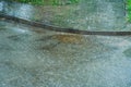 Wet sidewalk and roadway in the city after the rain. Water splashes on the road during a downpour. Large raindrops on the surface