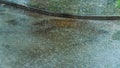 Wet sidewalk and roadway in the city after the rain. Water splashes on the road during a downpour. Large raindrops on the surface