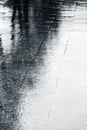 Wet sidewalk with water puddles and reflection of trees during r Royalty Free Stock Photo