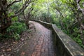 Wet and slippery brick path in tropical forest. Royalty Free Stock Photo