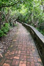 Wet and slippery brick path in tropical forest. Royalty Free Stock Photo