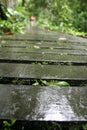 Wet and slippery wooden path