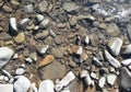 Wet Smooth mountain river rocks