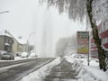 Wet snow falling from trees onto the pavement. Danger to pedestrians. Winter attack in Germany. Heavy snowfall in NRW.