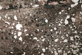 Wet snow paving stone. rocky textured surface. texture tiles