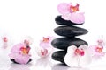 Wet spa stones with flowers Royalty Free Stock Photo
