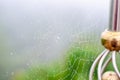 Dew drop on cobweb in the morning Royalty Free Stock Photo