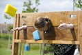 Wet sponge throwing contest.