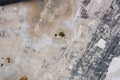 wet spot on ceiling of old ruined concrete structure. Royalty Free Stock Photo