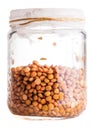 Wet Sprouting Lentils in a Glass Jar Royalty Free Stock Photo