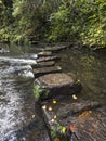 Wet stepping stones over river Royalty Free Stock Photo
