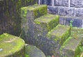 Wet Steps with Algae - Poor Indoor Environment - Haunted and Horror - Sick Building Syndrome