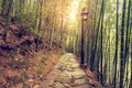 Wet stone path in the bamboo forest. Royalty Free Stock Photo