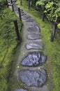 Wet stone pathway