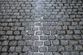 Wet stone pavement after rain Royalty Free Stock Photo