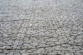 Wet stone pavement after rain. Royalty Free Stock Photo