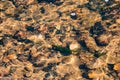 Wet stones and algae under water in a creek Royalty Free Stock Photo